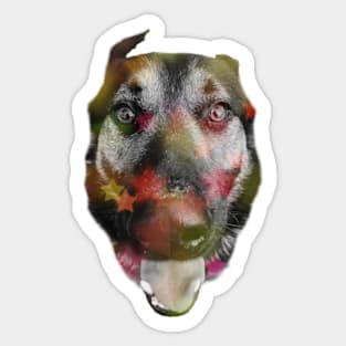 Dog Disco Sticker